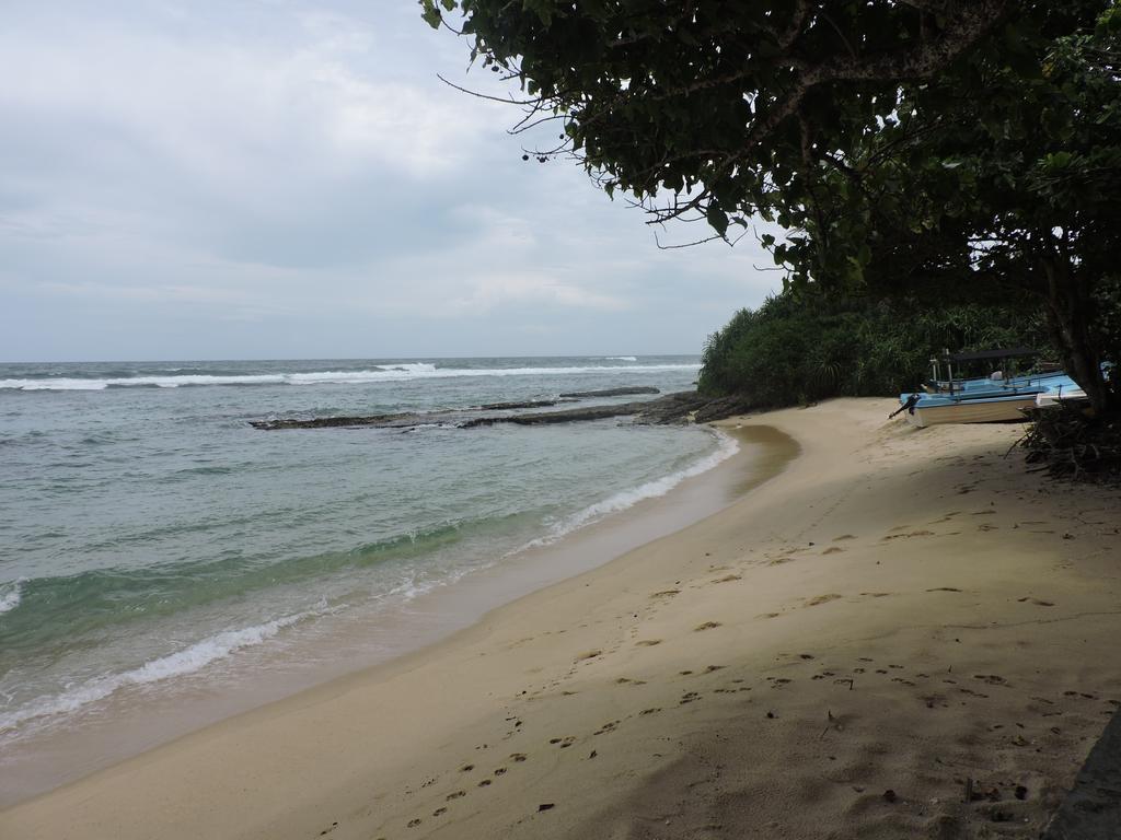 Paradise Beach Resort & Diving School Mirissa Kültér fotó