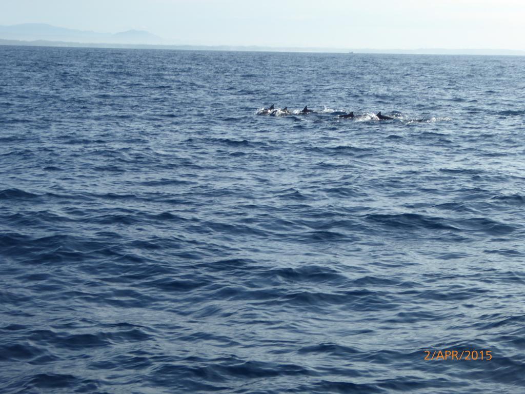 Paradise Beach Resort & Diving School Mirissa Kültér fotó